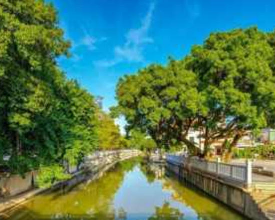 均安鎮(zhèn)鳧洲河及華安涌綜合整治工程